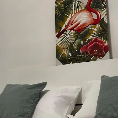 Apartamento Rossini Soul *